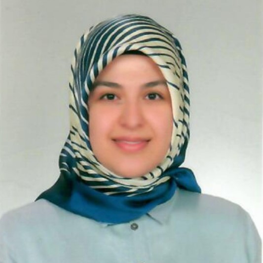 Öğr. Gör. Dr. Elif ALTINAY ÖZASLAN