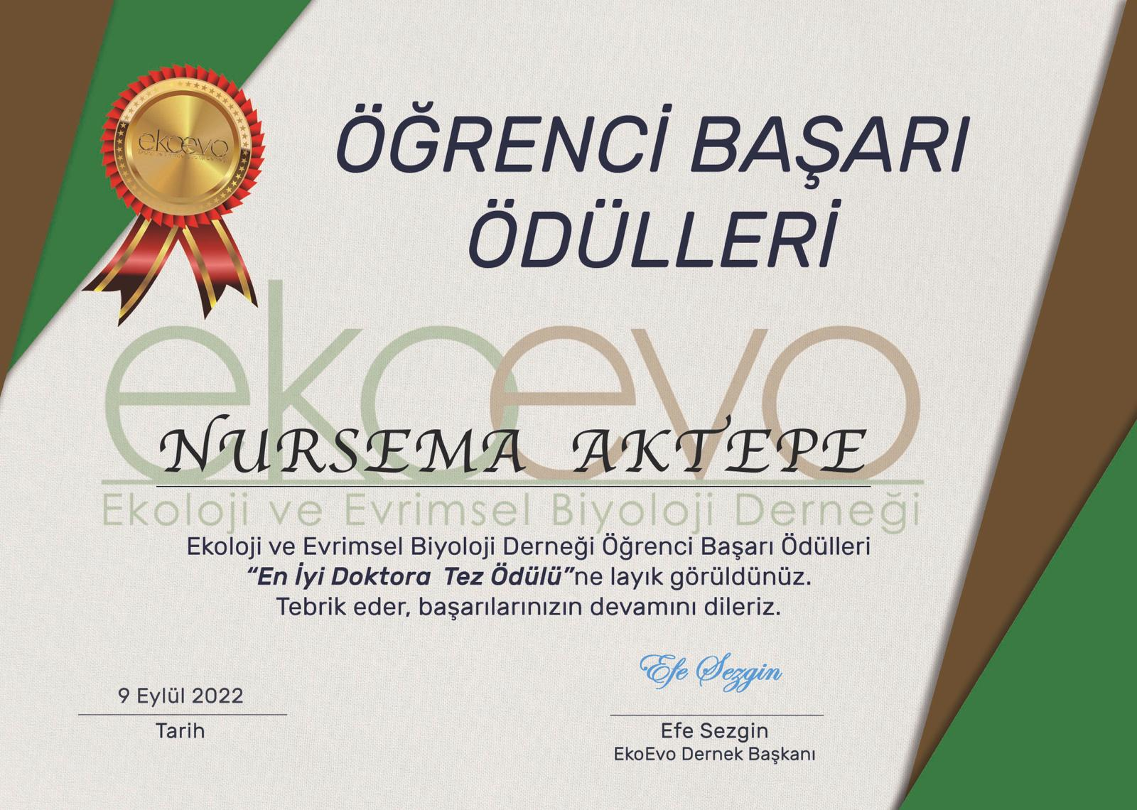 NURSEMA AKTEPE 2